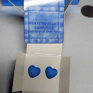 Vintage Avon Western Blues Earrings